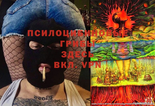 дурь Алексин