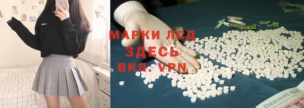 шишки Армянск