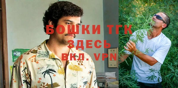 ешки Арсеньев
