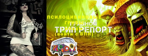 дурь Алексин