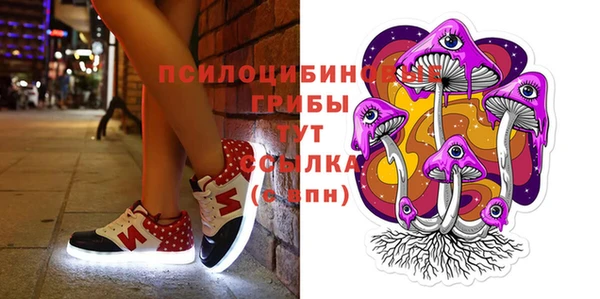 дурь Алексин