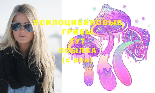 дурь Алексин