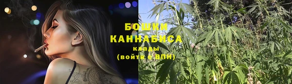 шишки Армянск