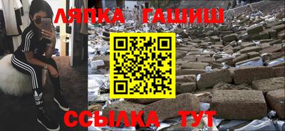 амф Гай