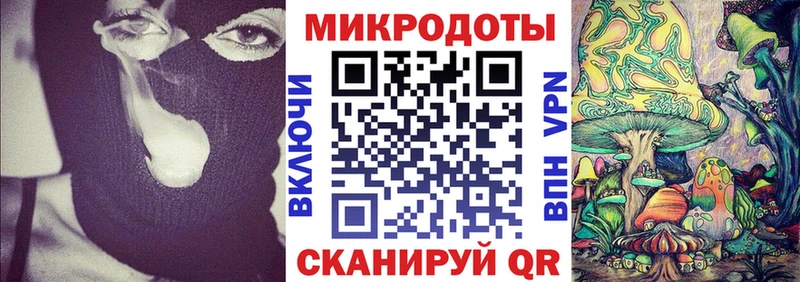 где купить наркоту  Лениногорск  Псилоцибиновые грибы Psilocybine cubensis 