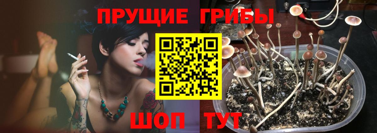 Галлюциногенные грибы мицелий  Вход с VPN  Лениногорск 