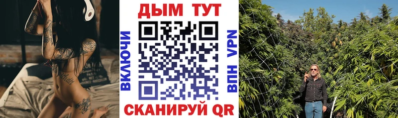 Шишки марихуана гибрид  наркотики  Лениногорск 